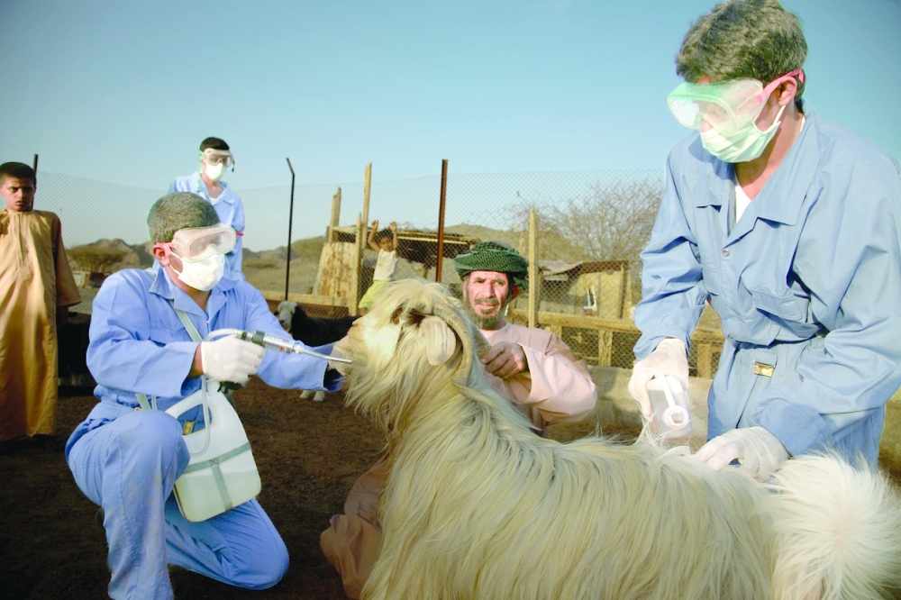 vaccine,doses,animals,muscat,protect