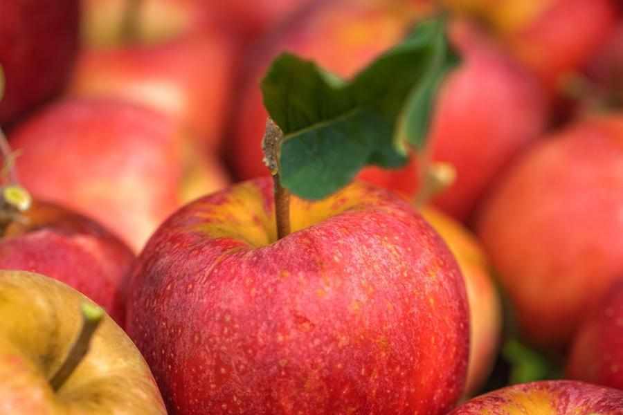 market,middle,east,middle east,apples