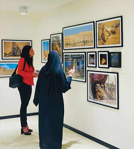 land,exhibition,culture,art,khawla