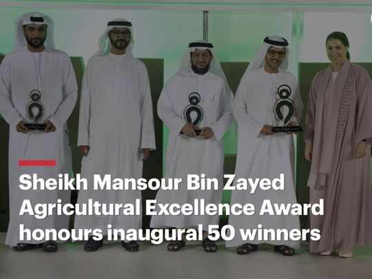 uae,sheikh,award,bin,zayed