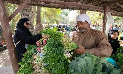 bahrain tonnes vegetables soil agriculture