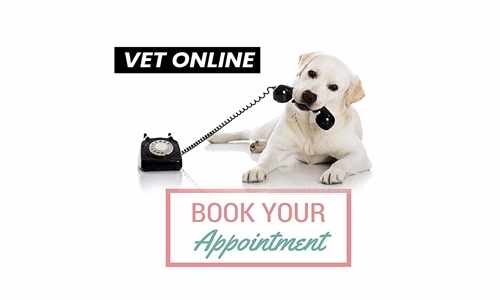 bahrain veterinary services online licence