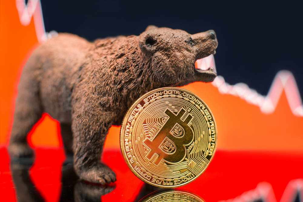 market,crypto,bear,survive,good