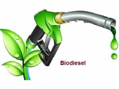 biodiesel, market, size, share, growth, 