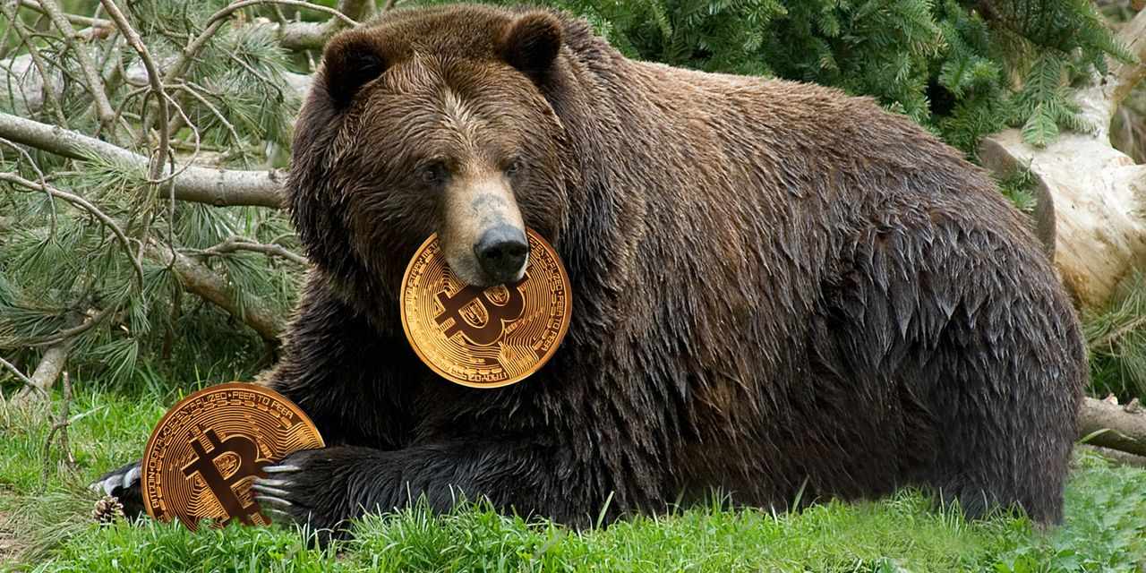 bitcoin crypto prices bears