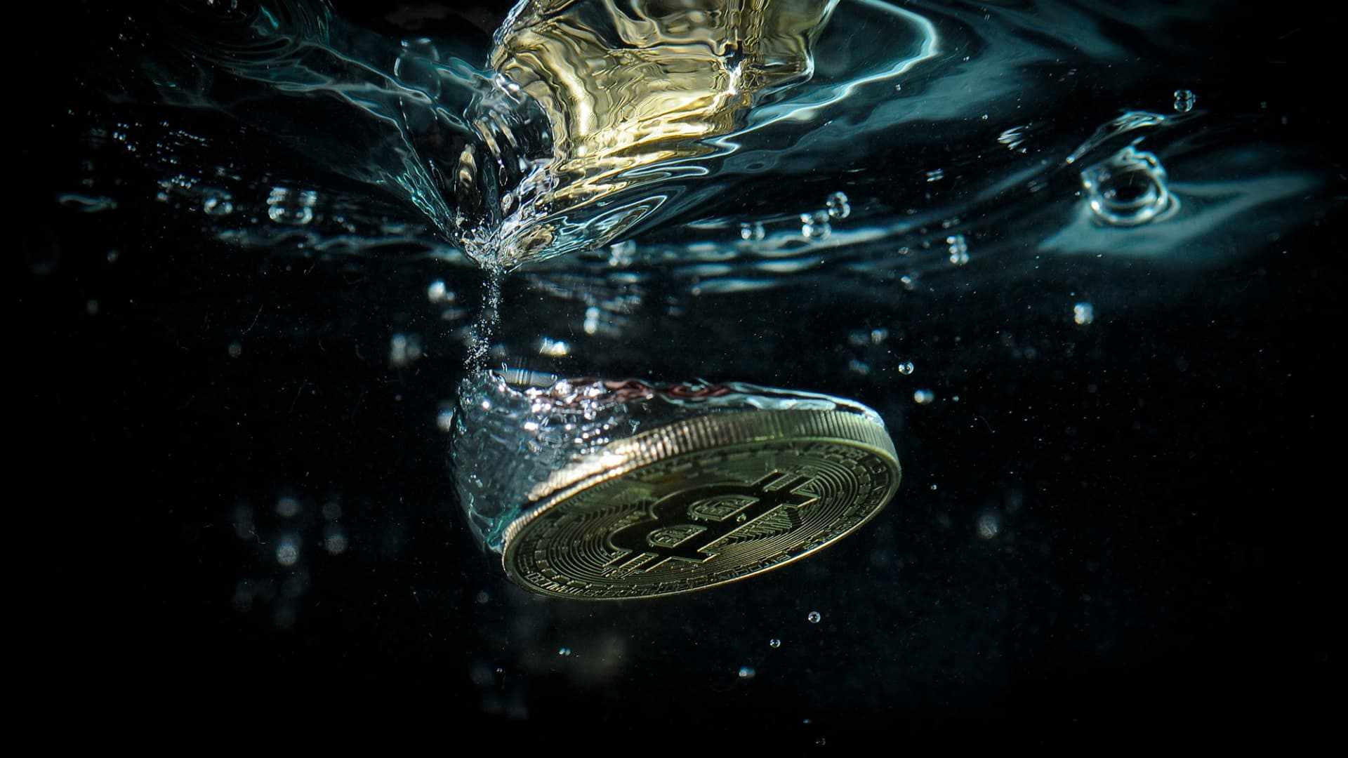 crypto,december,bitcoin,data,plunged