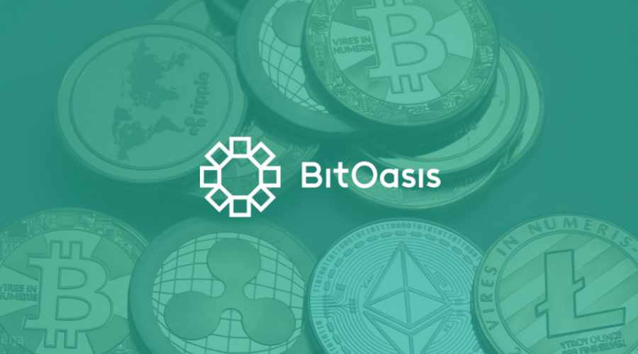 bitoasis, capital, round, such, based, 
