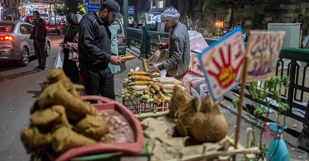 egypt,prices,inflation,food,briefing