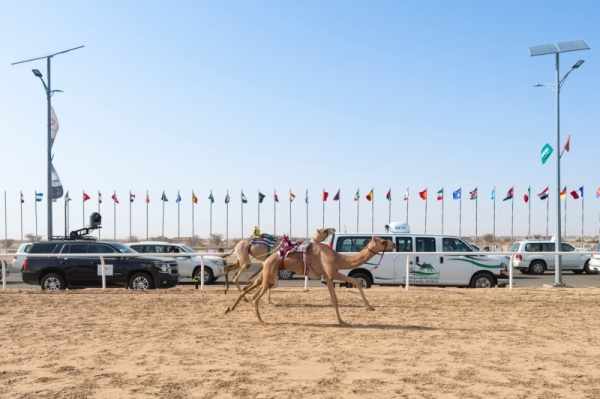 camel, festival, participants, crown, prince,