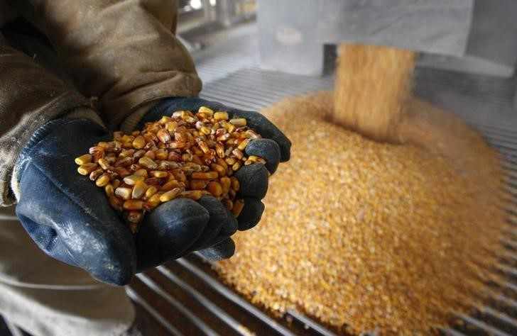 china corn boosted revenue investing