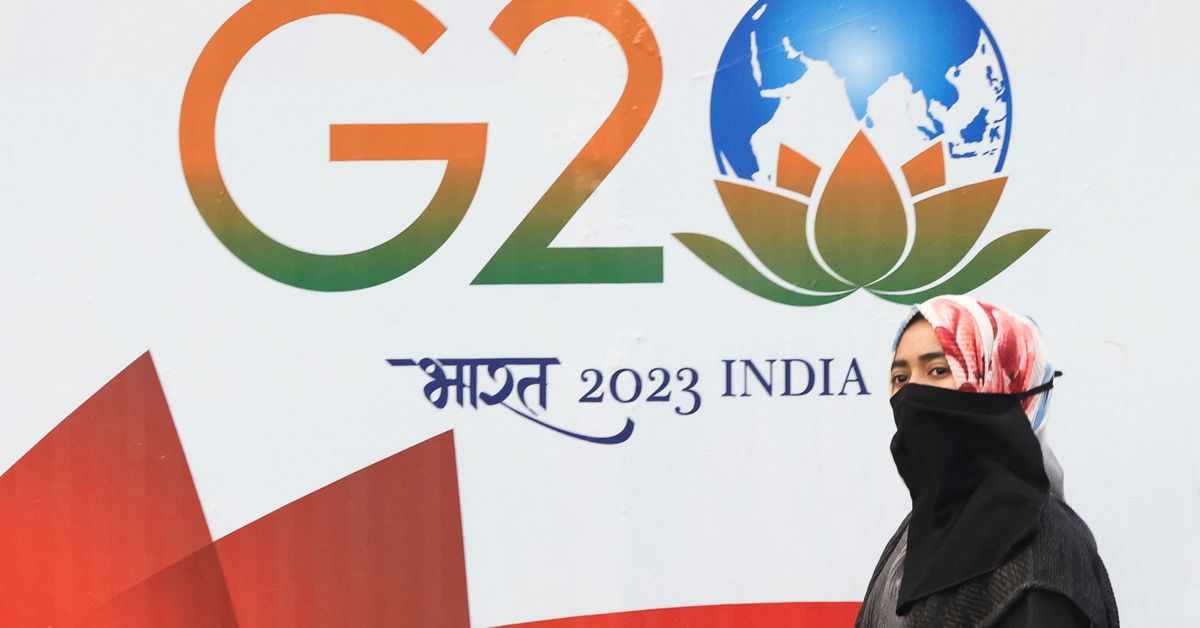 china,india,host,g20,reuters
