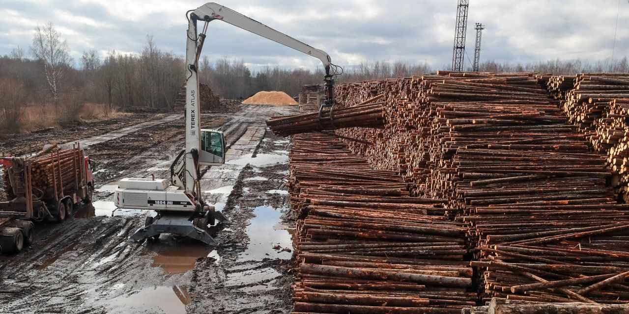 china prices pulp wood speculators