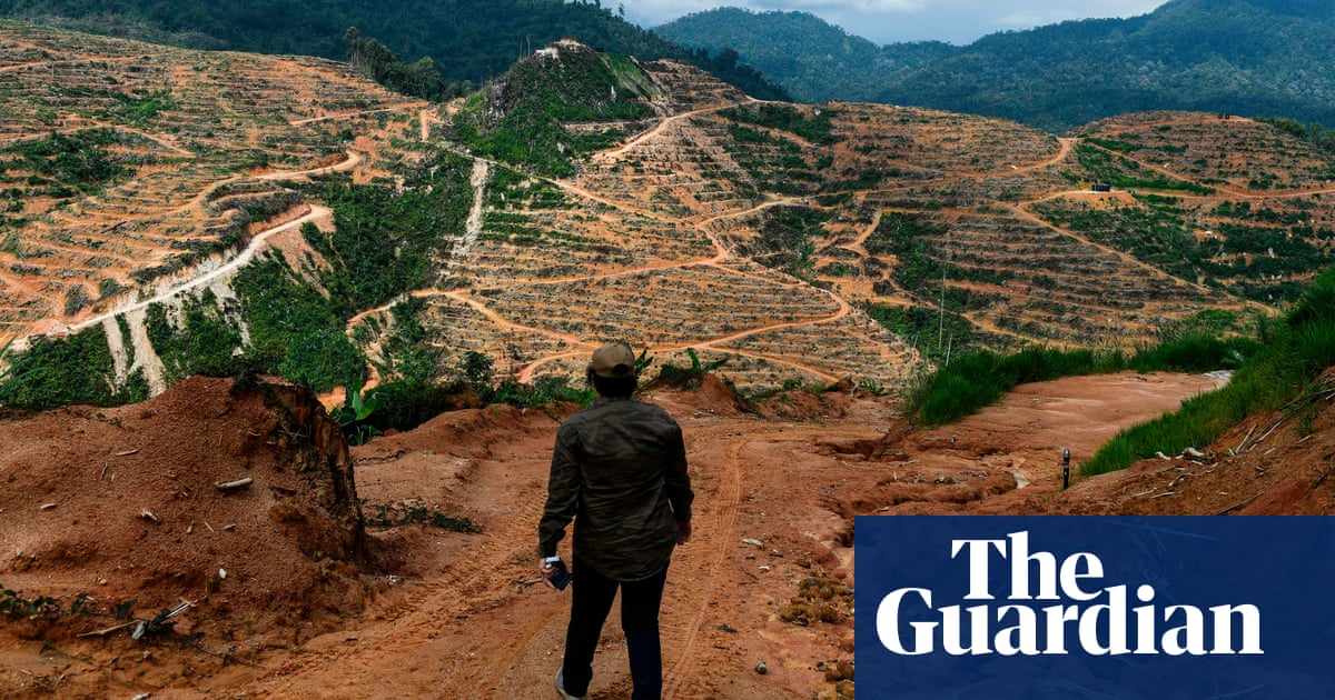 chinese banks deforestation firms global