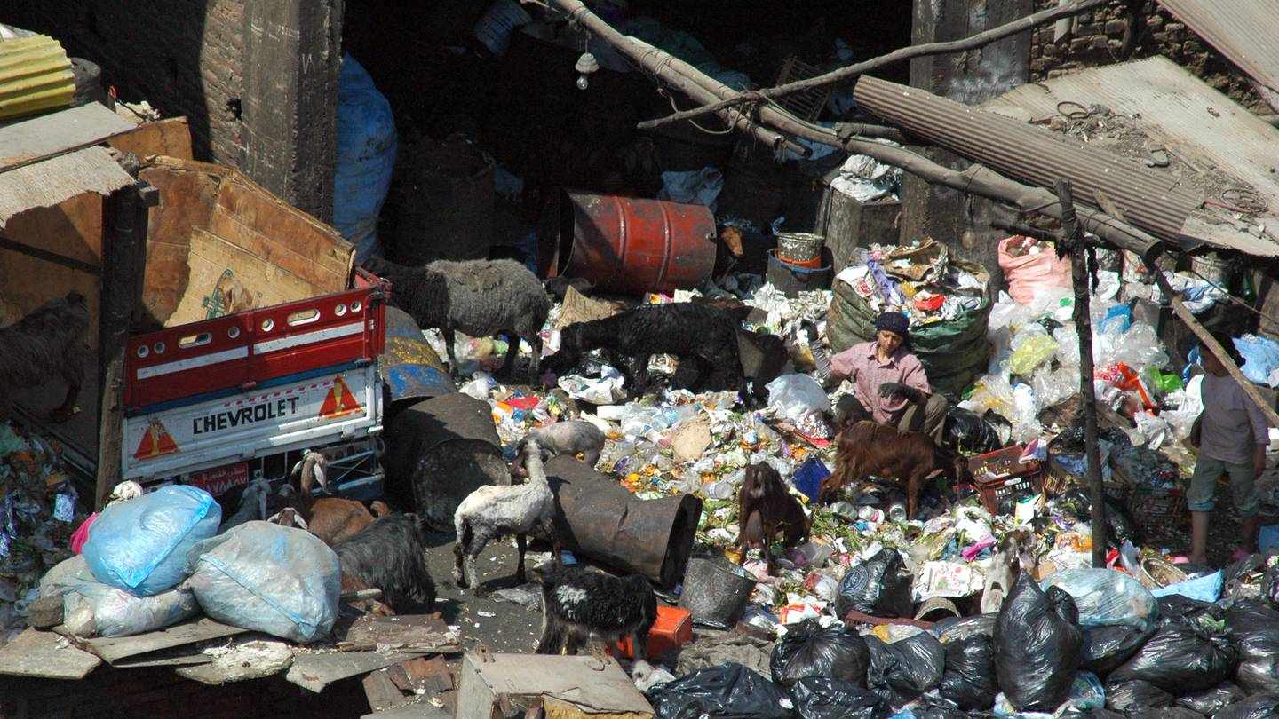 national,city,cairo,operations,garbage
