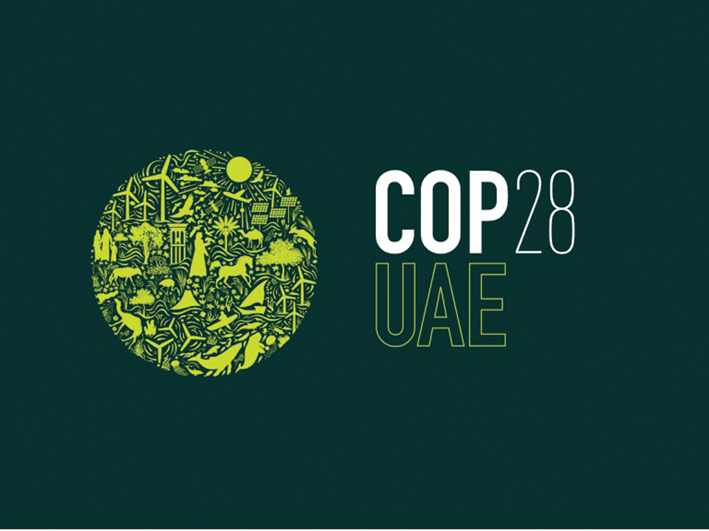 uae,climate,national,council,efforts