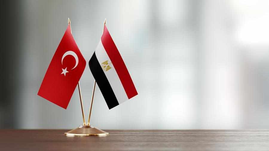 egypt,cooperation,sector,healthcare,turkey