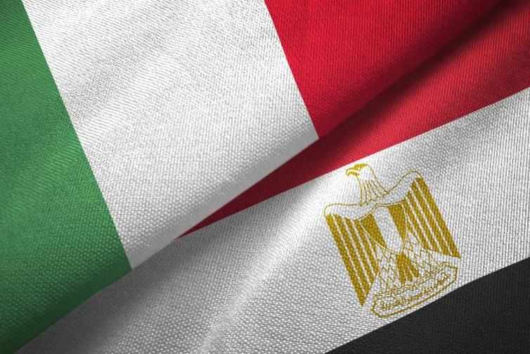 egypt,cooperation,sector,healthcare,italy