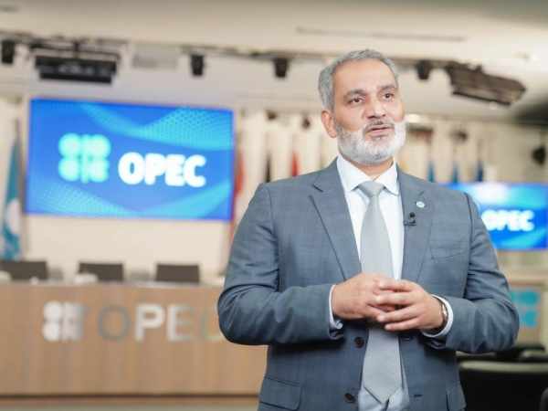 opec,group,countries,chief,consultations