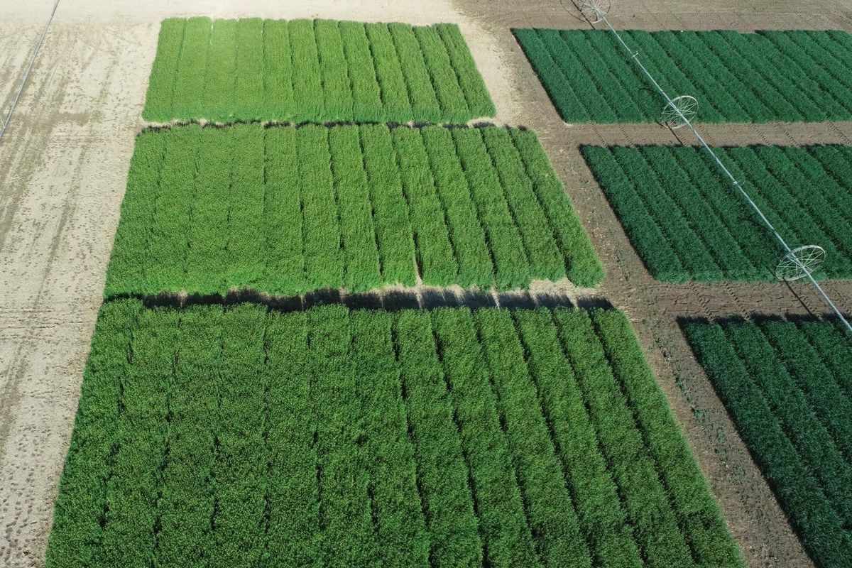 cover crops president biden climate