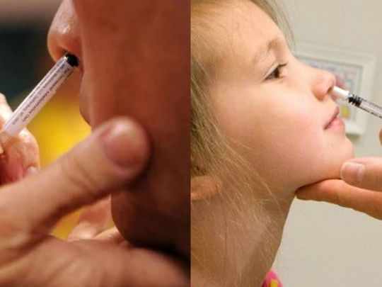 covid pandemic nasal nose vaccines