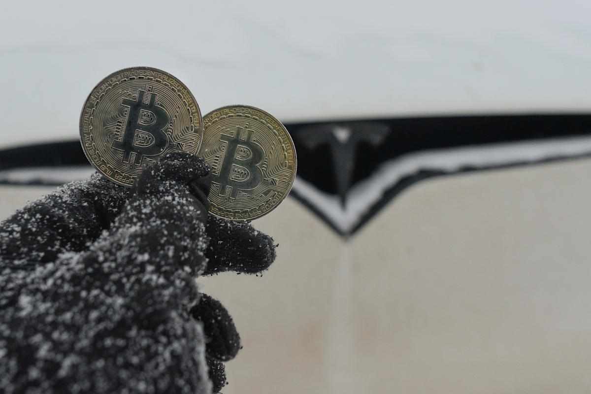 crypto,winter,trader,calling,lamoureux