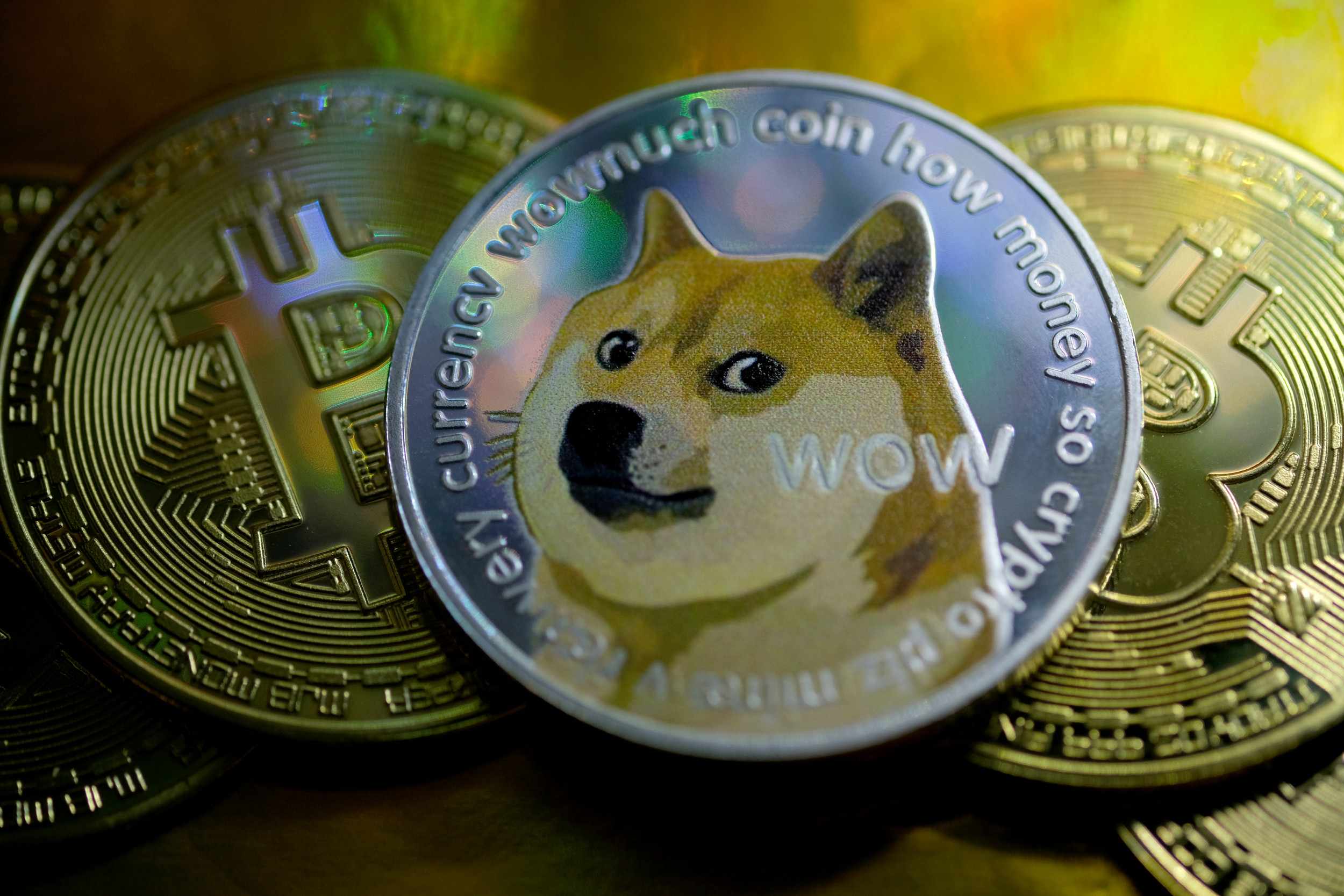 cryptocurrency, percent, meme, crypto, dogecoin, 