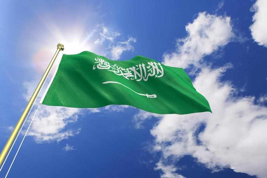 saudi,government,arabia,national,services