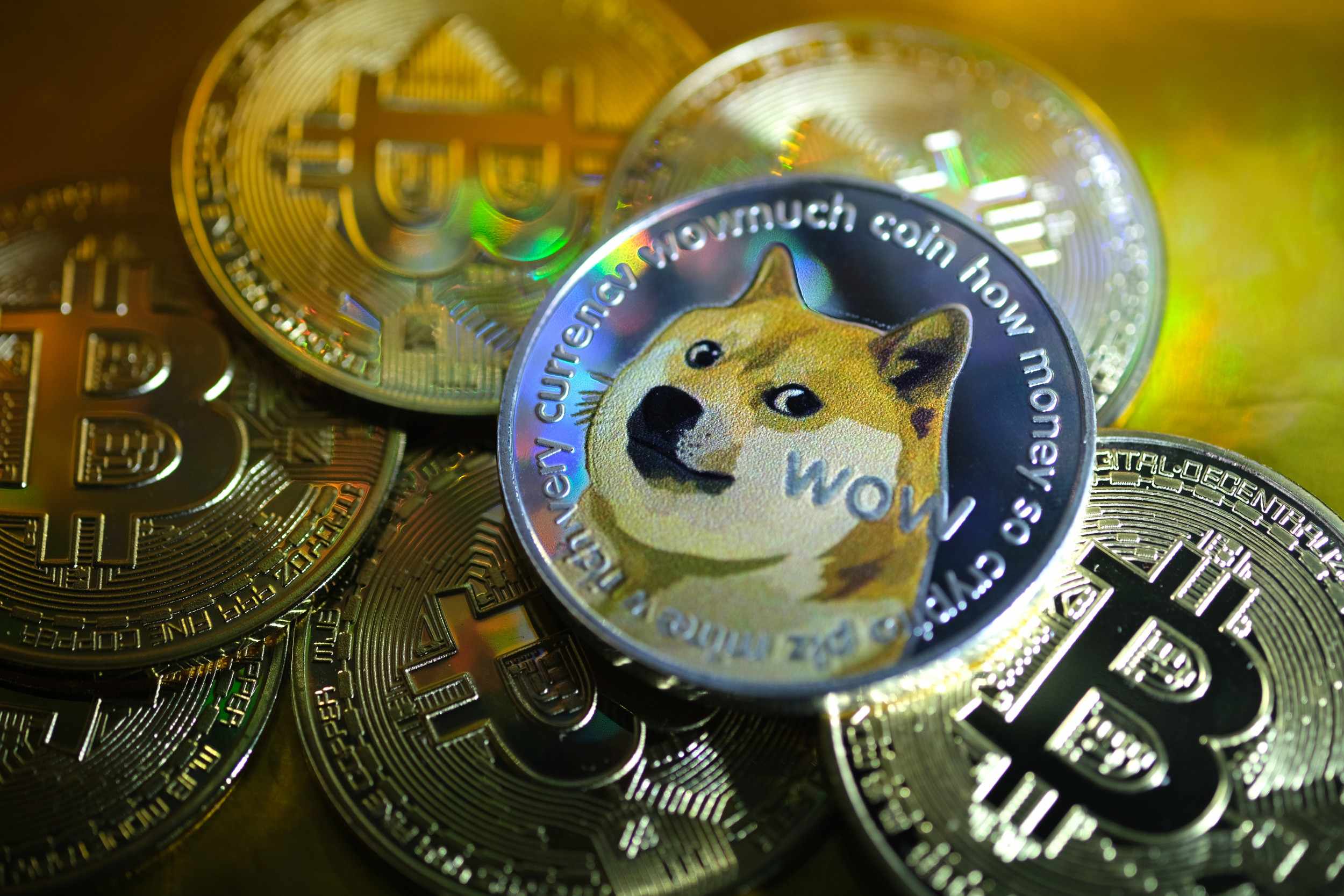 dogecoin festival bitcoin conference musk