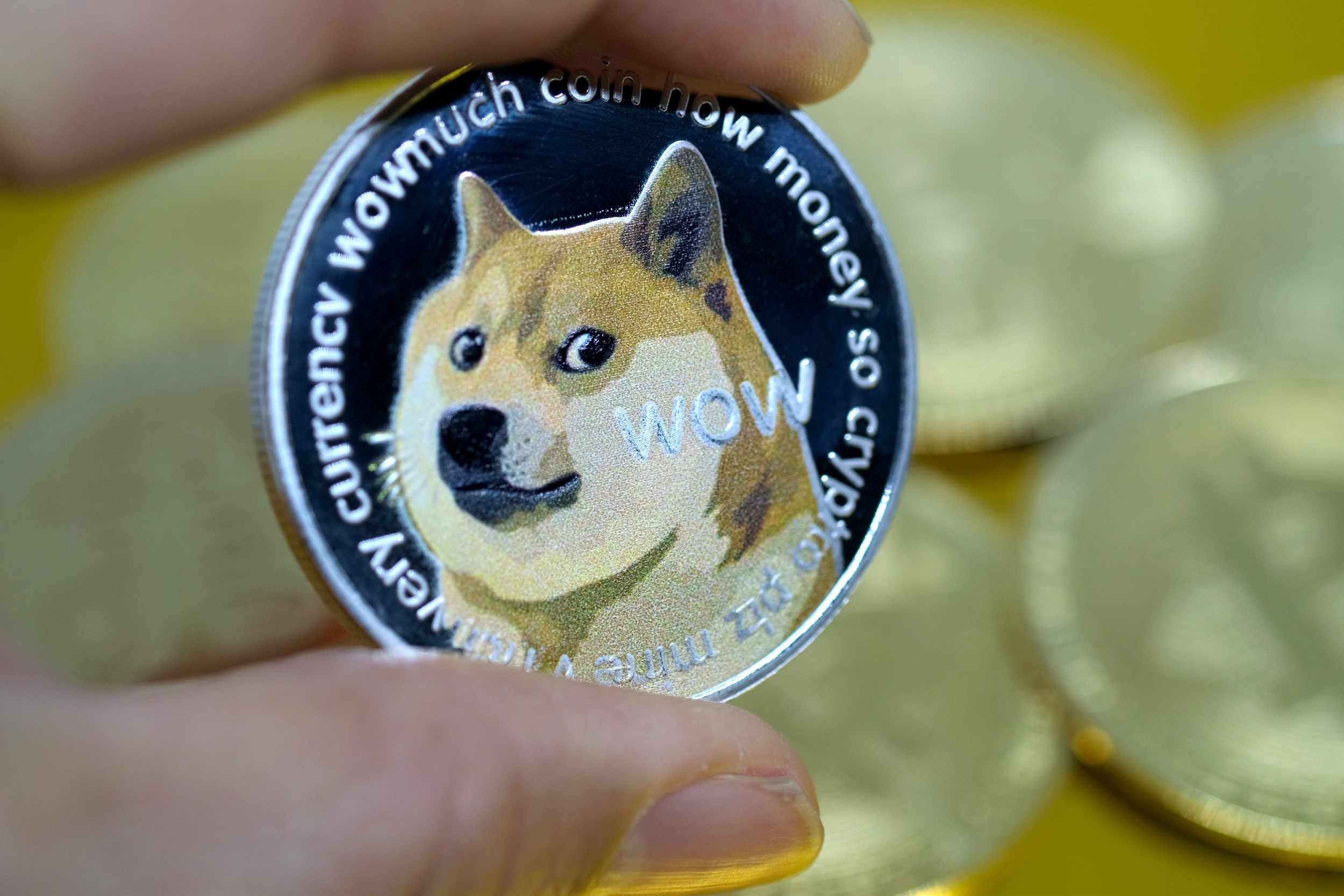 dogecoin token hits cash cryptocurrency