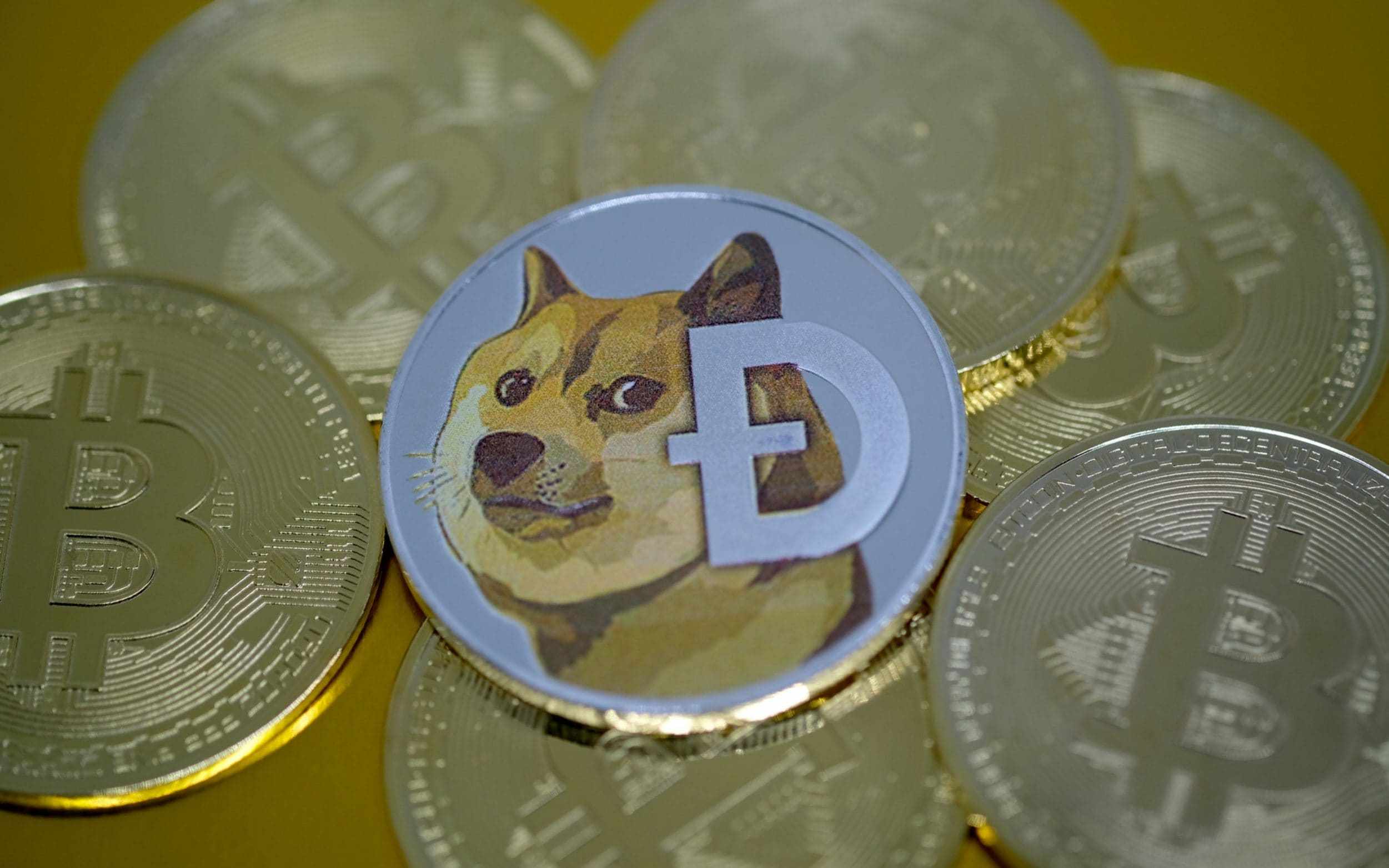 dogecoin traders record dogeday highs