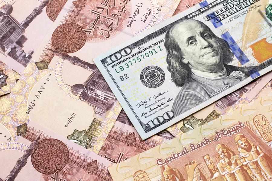egypt,dollar,pound,further,flexibility