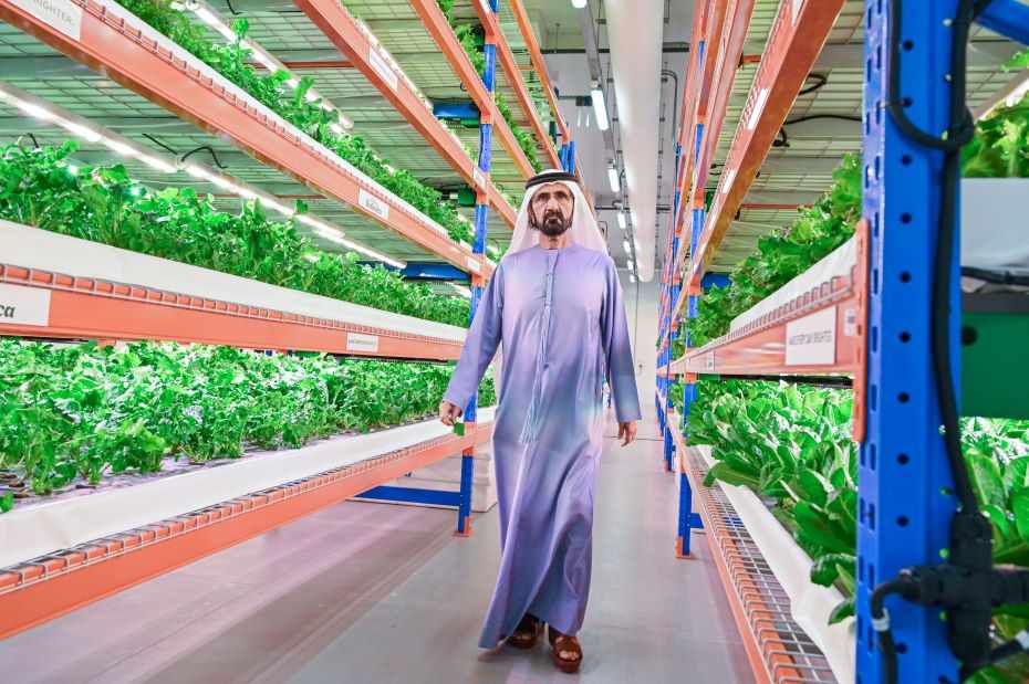 dubai,sheikh,farm,vertical,hydroponic