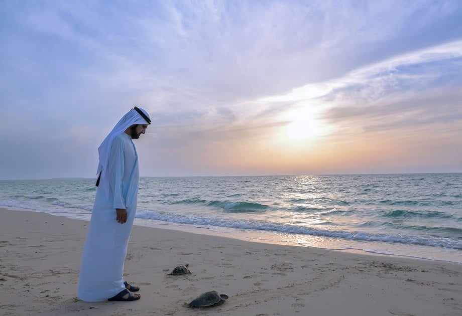 dubai,public,plan,sheikh,beaches