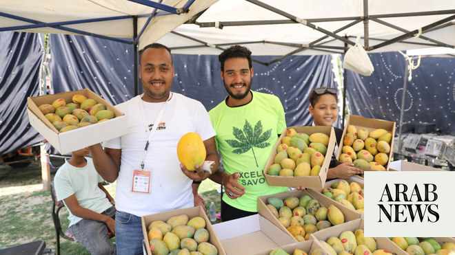 tourism,cairo,festival,promoting,mangoes