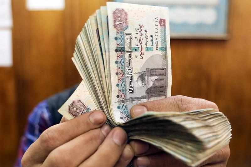 egypt,budget,exceeds,egp,allocations