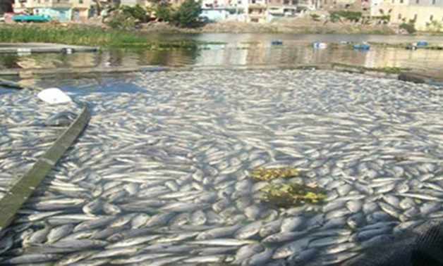 egypt fish farming sisi government