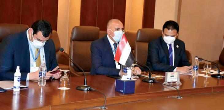 egypt gerd binding investments regional
