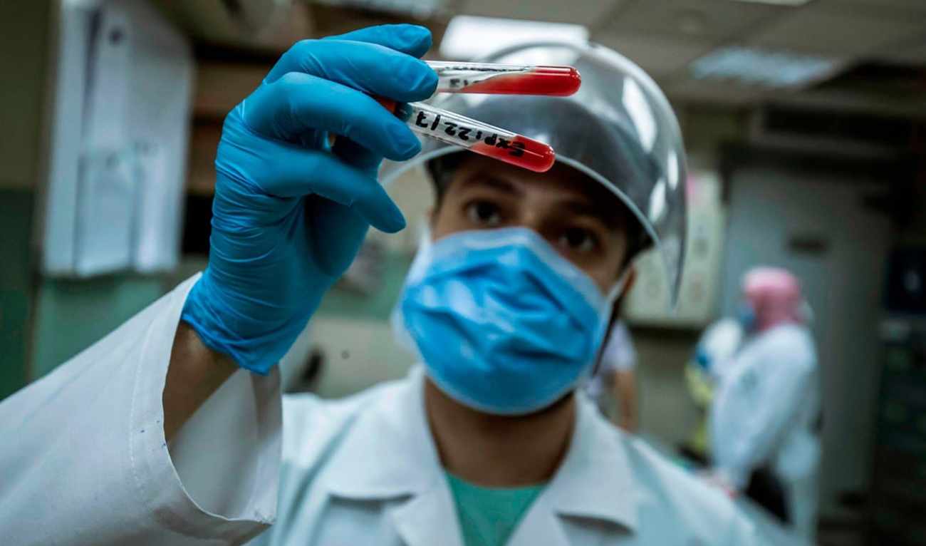 egypt health grant sector canadian