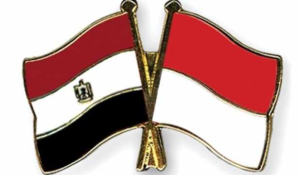 egypt,mou,expertise,cooperation,healthcare