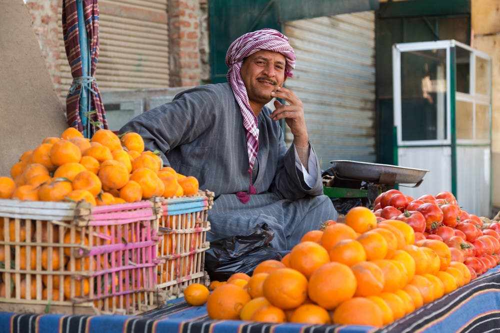 egypt spain exporter worldlargest oranges
