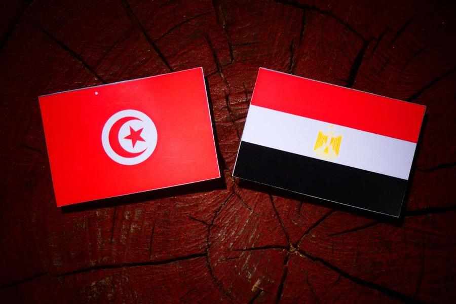 egypt,cooperation,tunisia,probe,further