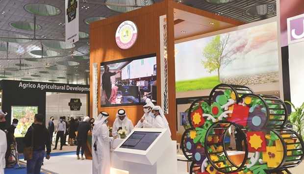 environment,roles,qatar,pavilion,exhibitions