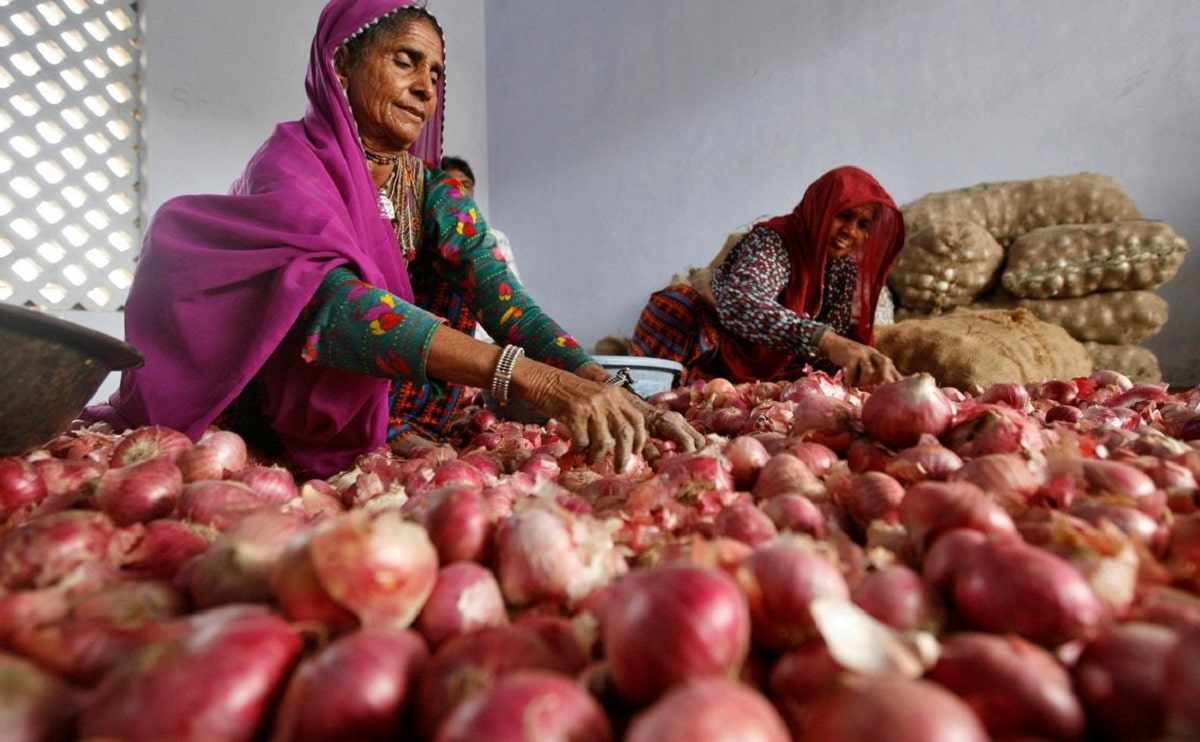 india,export,onion,duty,onions