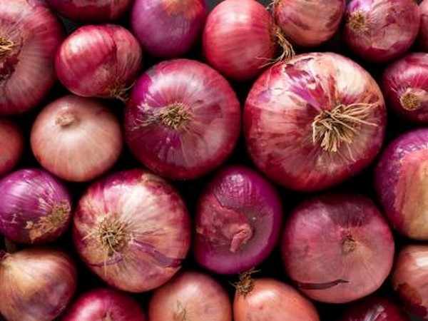 uae,india,bangladesh,onion,exports