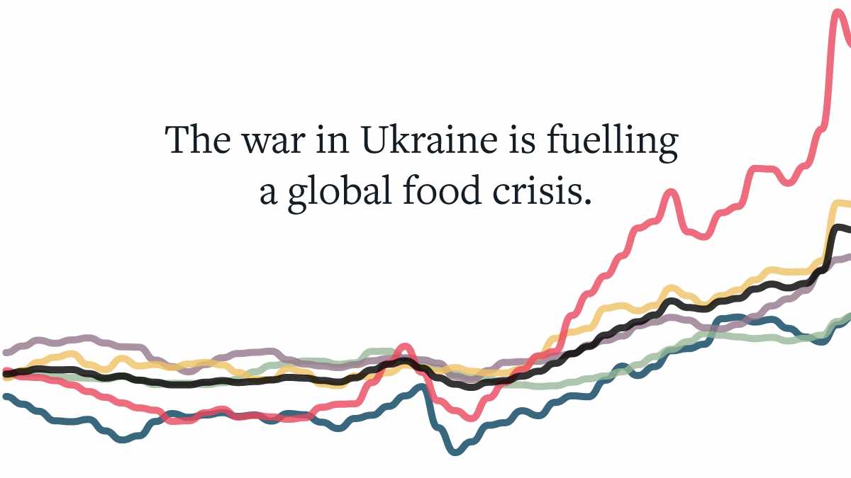 global,food,crisis,ukraine,war