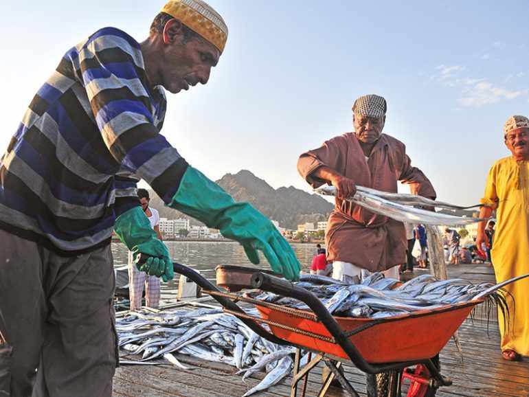 production,food,oman,self,sufficiency