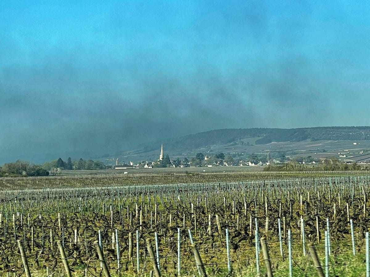 emissions,frost,bourgogne,producing,without