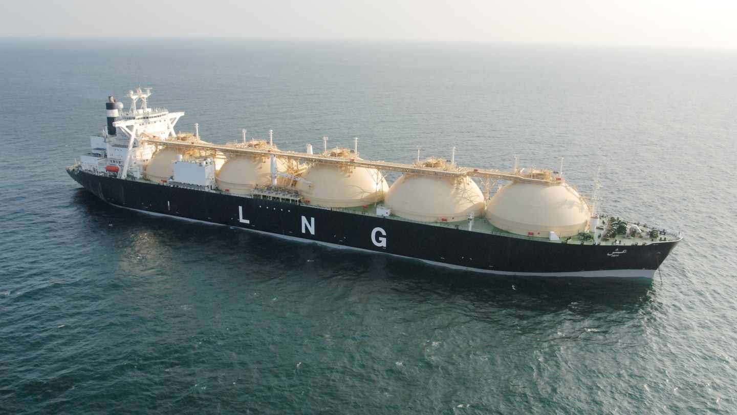 uae,sector,national,policy,lng