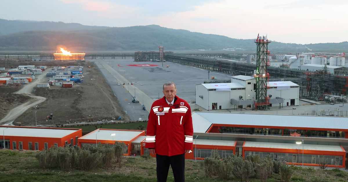 gas,sea,field,erdogan,shipment