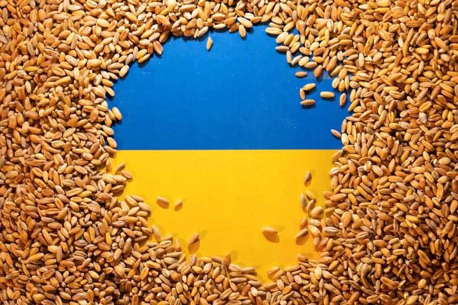ukraine,crop,grain,ukraines,exports
